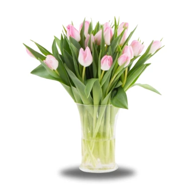 Różowe tulipany